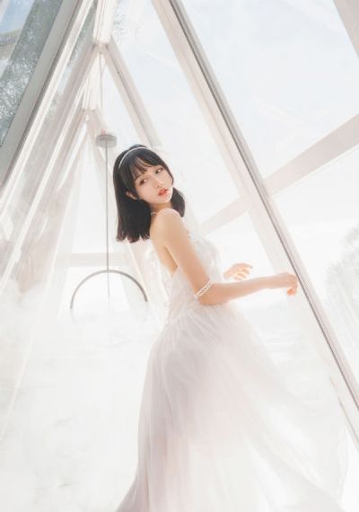 《流浪狗》电影
