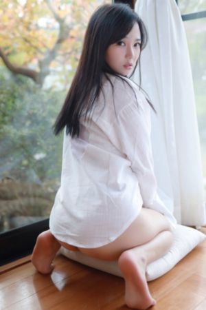 省港大营救电视剧免费观看